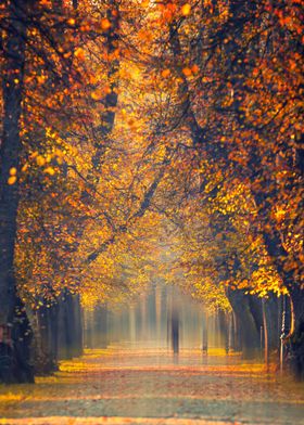 Autumn landscape in Poland