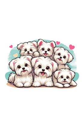 Cute Maltese Dogs