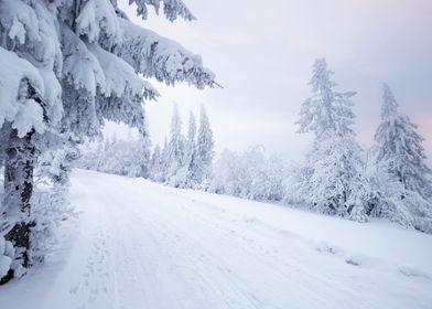 Winter landscape in Poland