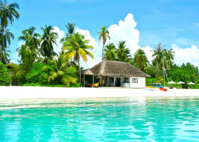 Maldives Tropical Beach