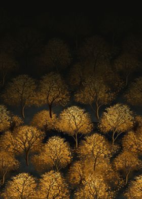 NIGHT TIME FOREST