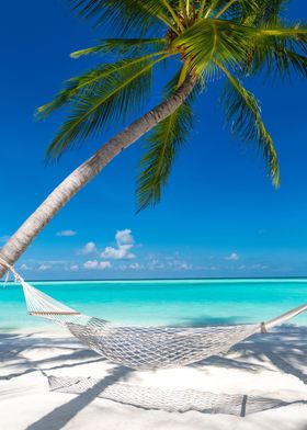 hammock on the beach 