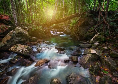 Waterfall in forest