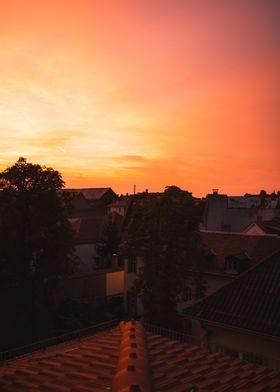 Rooftop Sunset