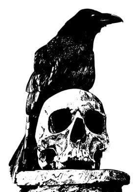 Skull and bird