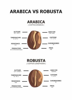 arabica robusta beans