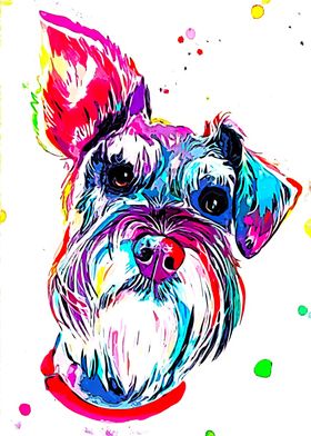 Schnauzer