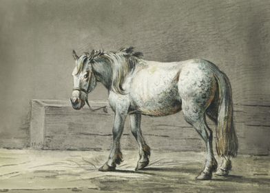 Standing horse