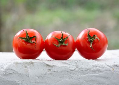 The three tomatoes