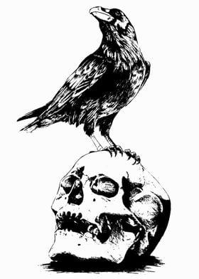 skull and bird