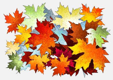 Autumn leaf colors 5