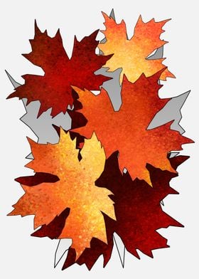 Autumn leaf colors 6