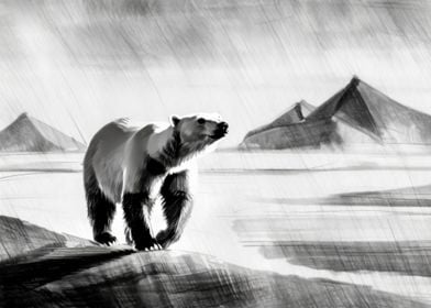 Polar Bear In Icy Desert