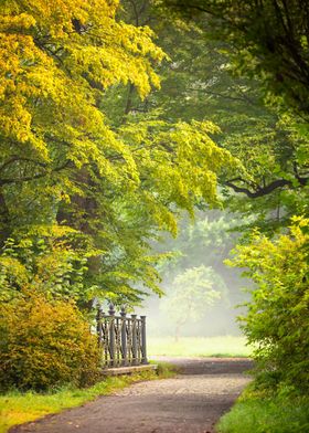 Green path in morning park