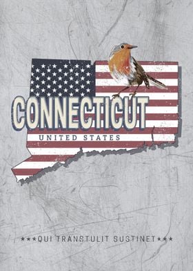 Connecticut State Map USA