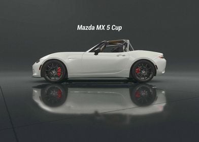 Mazda MX 5 Cup