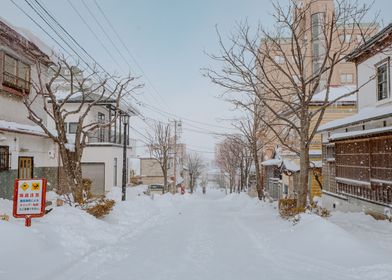 Winter in Hakodate Japan