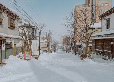 Winter in Hakodate Japan