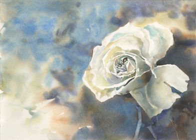 White rose watercolor art