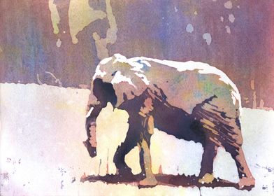 Elephant watercolor art