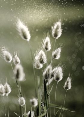 Grass on green background