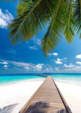 jetty leading to ocean