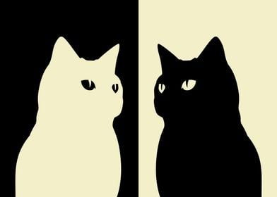Black White Cat 3