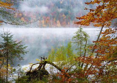 Indian Summer in Bavaria