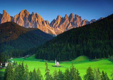 Dolomites italy forest