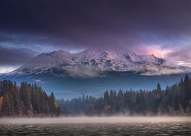 Misty autumn forest