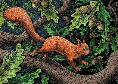 Squirrel and Oak