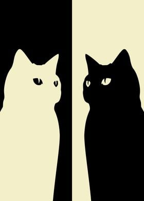 Black and White Cat 6
