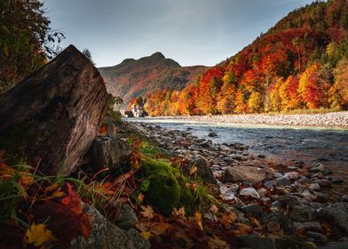 Saalach Bad Reichenhall