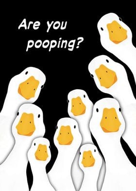 Duck Are You pooping