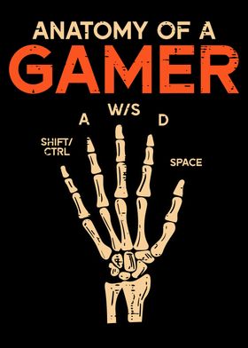 Anatomy of a Gamer