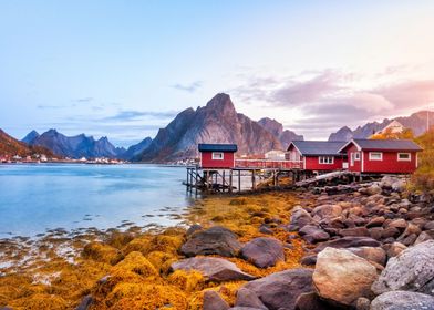 Lofoten Islands Norway 