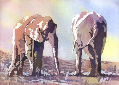 Elephant watercolor painti