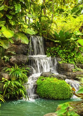 Waterfall in Jungle