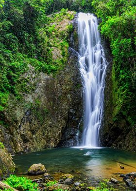 Great Waterfall Forest