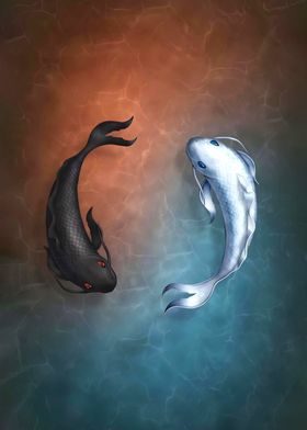 Fish Yin Yang Aesthetic