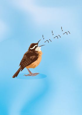 Carolina wren bird singing