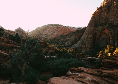 Canyon Twilight Glow