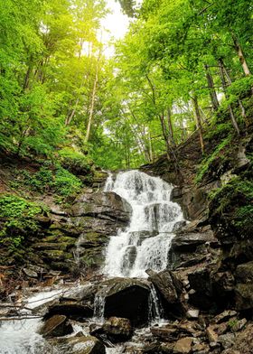 Waterfall Jungle