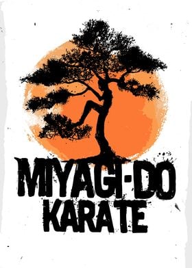 miyagi do karate