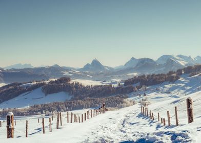 Mountain Powder Snow Path