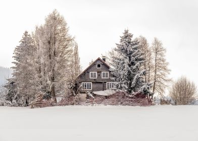 Abandoned Winter House