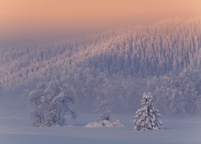 Tree Friends in the Snow