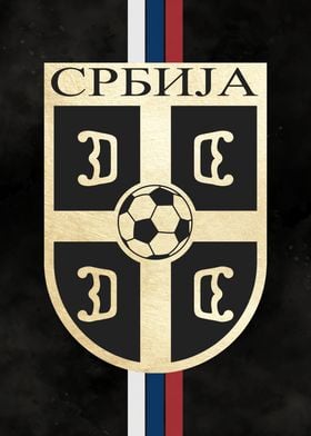 Serbia national football t