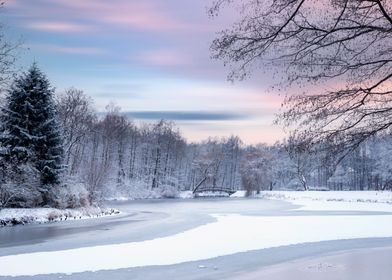 Winter lake in frozen park