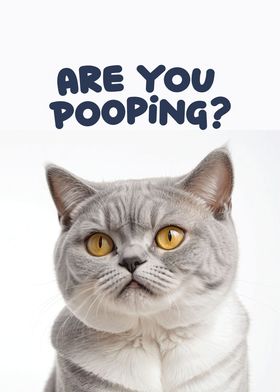 Funny cat toilet 